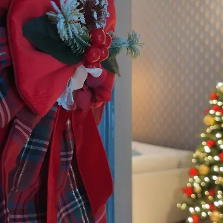 Donna Sofia * 托雷安农齐亚塔